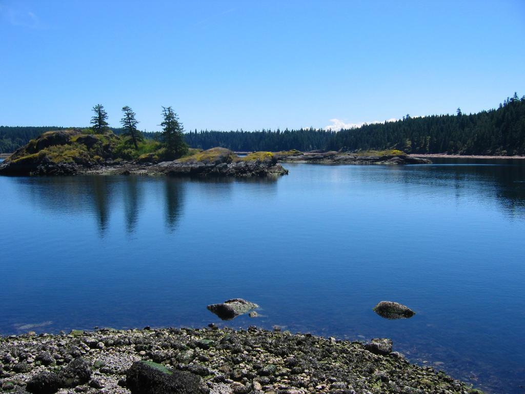 Gowlland Harbour Resort Heriot Bay Pokój zdjęcie